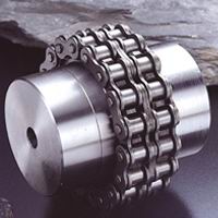 Roller Chain Coupling-HT