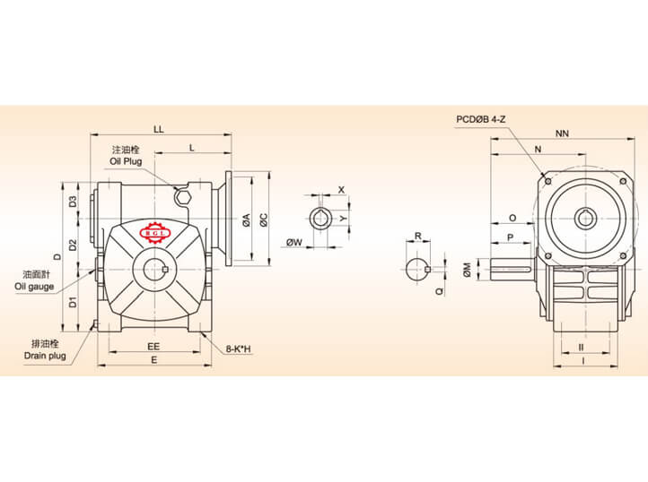 Double Lead Worm Gear Reducer-ASFE 