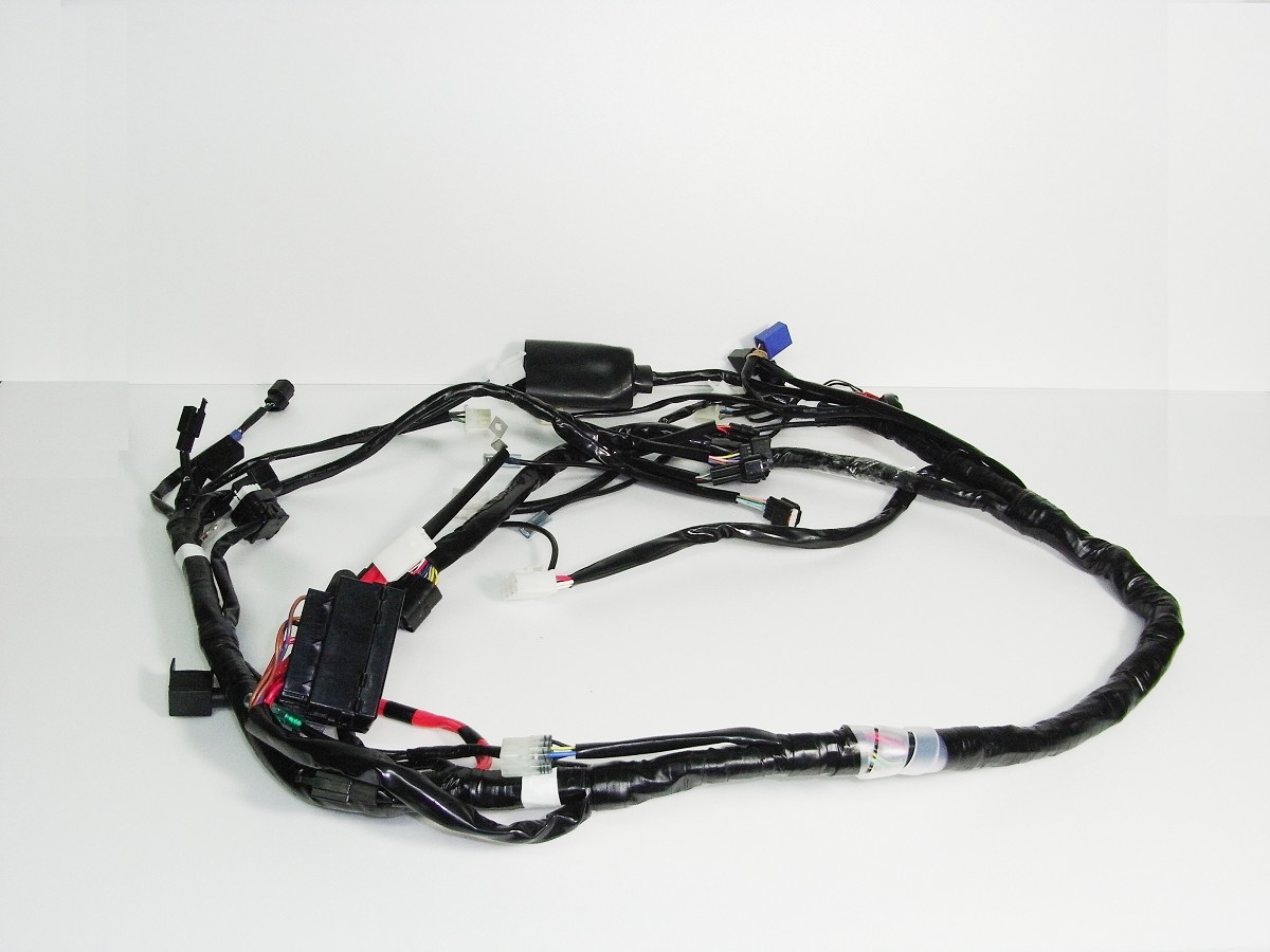 Main wire harness MWH06-MWH06