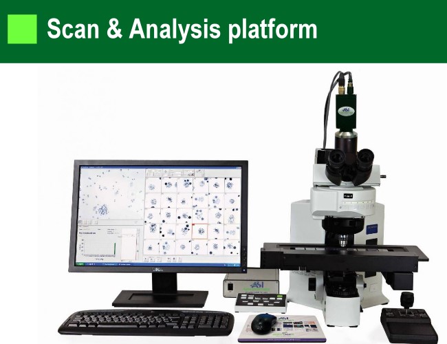 Chromosome scan comparison analysis