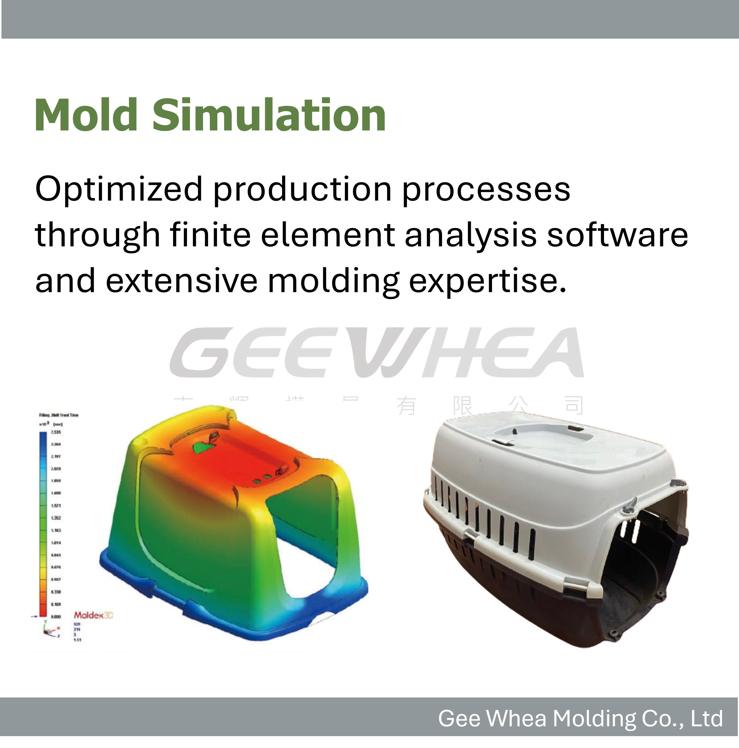 Mold Simulation