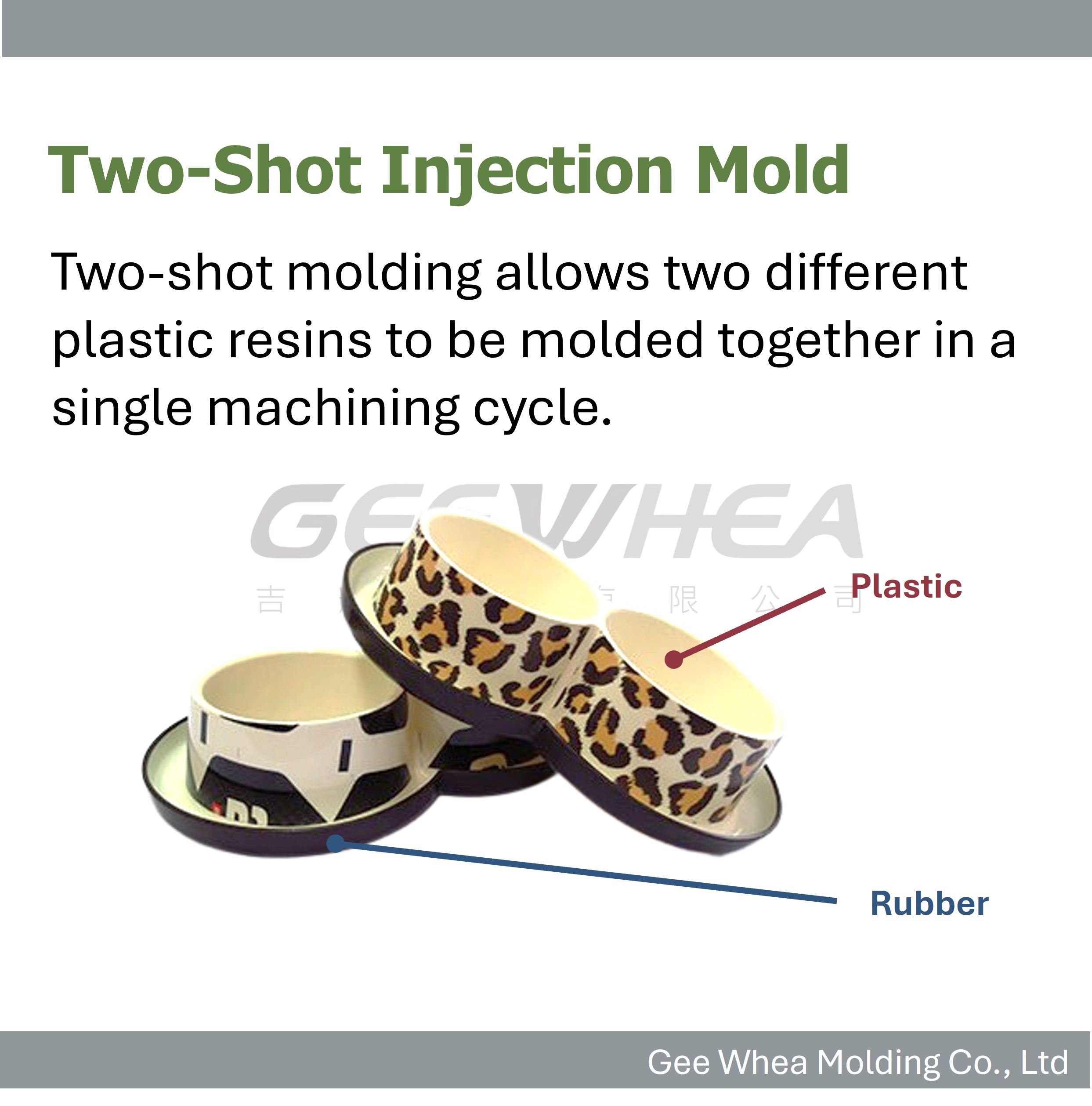 Two-Shot Molding