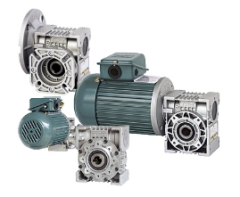 Hollow Shaft Worm Gear- Standard(W)